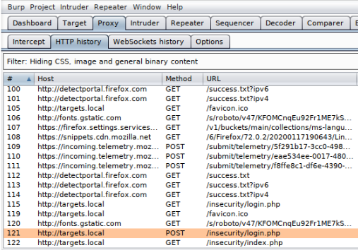 Web Application Security Audit