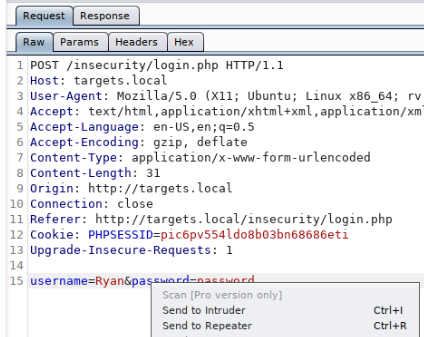 Web Application Security Audit alt